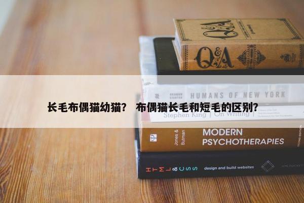 长毛布偶猫幼猫? 布偶猫长毛和短毛的区别?