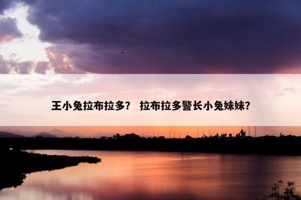 王小兔拉布拉多? 拉布拉多警长小兔妹妹?