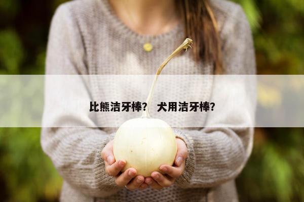 菌斑