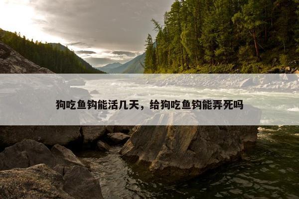 内脏