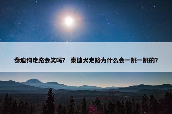 泰迪狗走路会笑吗？ 泰迪犬走路为什么会一跳一跳的？