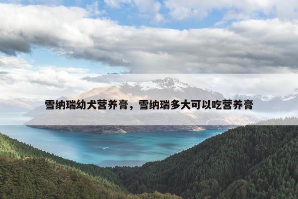 雪纳瑞幼犬营养膏，雪纳瑞多大可以吃营养膏