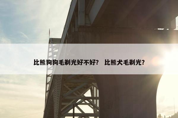 比熊狗狗毛剃光好不好？ 比熊犬毛剃光？