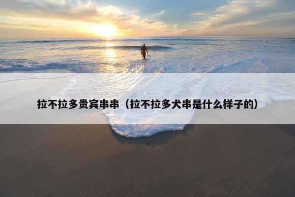 火箭