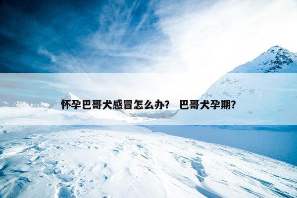 怀孕巴哥犬感冒怎么办？ 巴哥犬孕期？