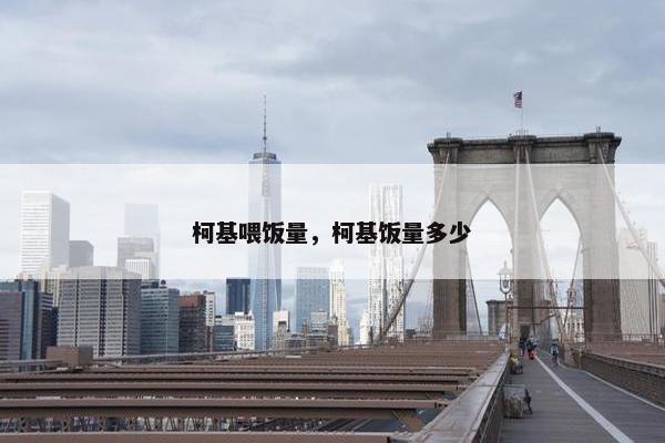 柯基喂饭量，柯基饭量多少