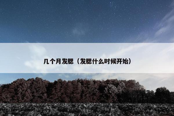 几个月发腮（发腮什么时候开始）
