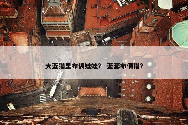 大蓝猫里布偶娃娃？ 蓝套布偶猫？