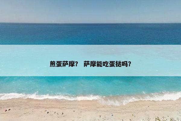 煎蛋萨摩？ 萨摩能吃蛋挞吗？