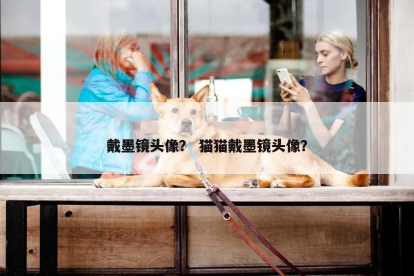 戴墨镜头像？ 猫猫戴墨镜头像？