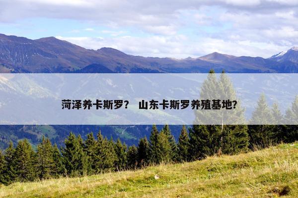 菏泽养卡斯罗? 山东卡斯罗养殖基地?