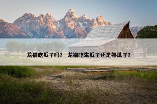 坚果