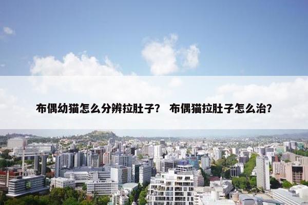 布偶幼猫怎么分辨拉肚子？ 布偶猫拉肚子怎么治？