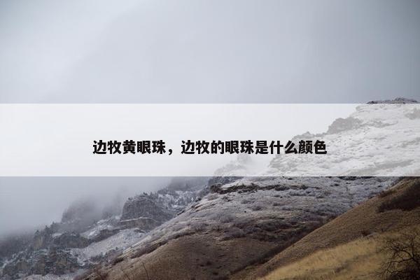 边牧黄眼珠，边牧的眼珠是什么颜色