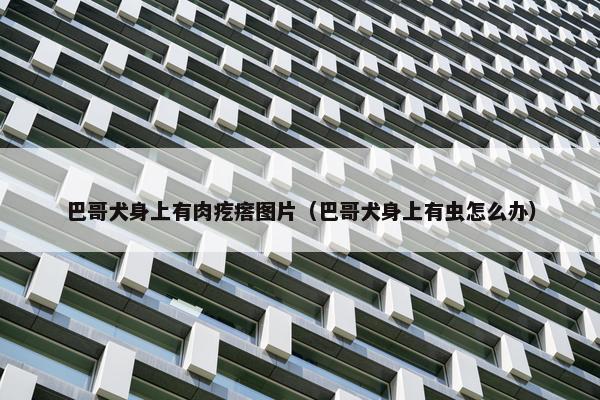 巴哥犬身上有肉疙瘩图片（巴哥犬身上有虫怎么办）