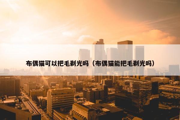 布偶猫可以把毛剃光吗（布偶猫能把毛剃光吗）