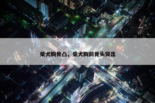 柴犬胸骨凸，柴犬胸前骨头突出