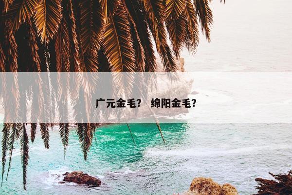公园