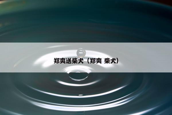 安插
