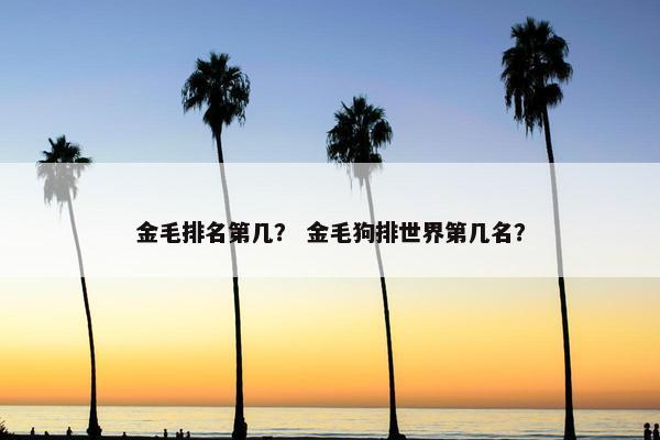 金毛排名第几? 金毛狗排世界第几名?