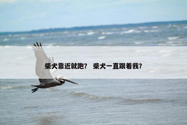 撒手