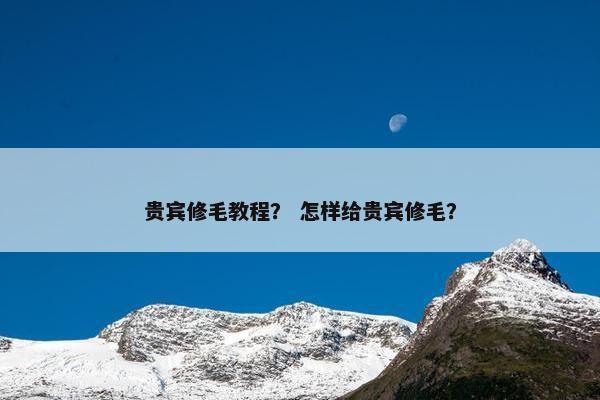 修剪 第3页