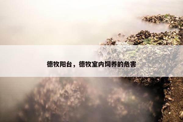 德牧阳台，德牧室内饲养的危害