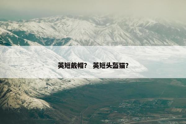 英短戴帽？ 英短头盔猫？