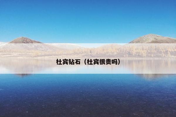 杜宾钻石(杜宾很贵吗)