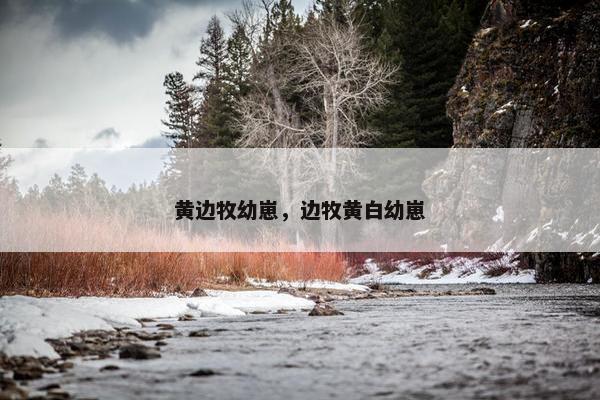 黄色