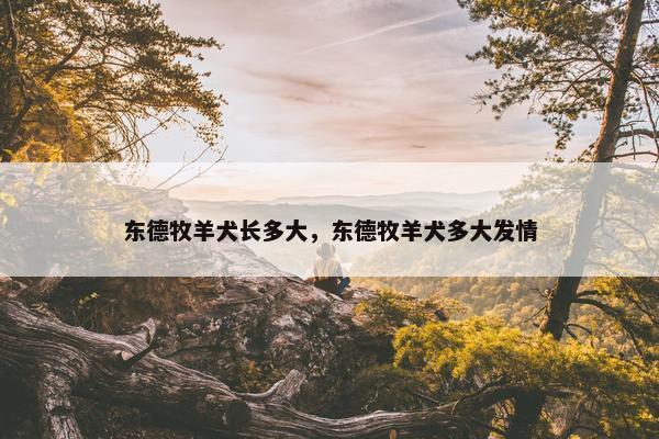 东德牧羊犬长多大，东德牧羊犬多大发情