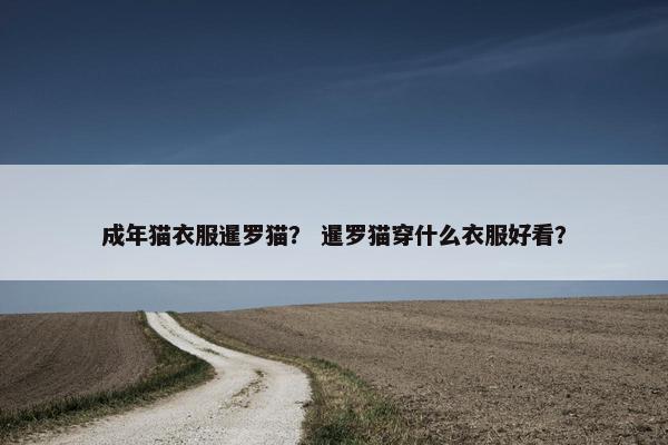 成年猫衣服暹罗猫? 暹罗猫穿什么衣服好看?