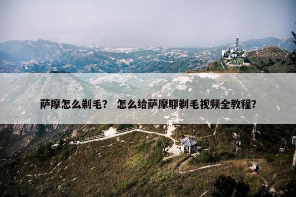 萨摩怎么剃毛？ 怎么给萨摩耶剃毛视频全教程？