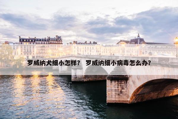 罗威纳犬细小怎样？ 罗威纳细小病毒怎么办？