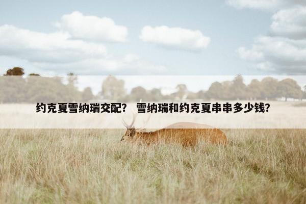 约克夏雪纳瑞交配？ 雪纳瑞和约克夏串串多少钱？