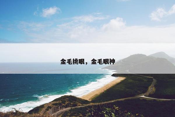 金毛挑眼，金毛眼神