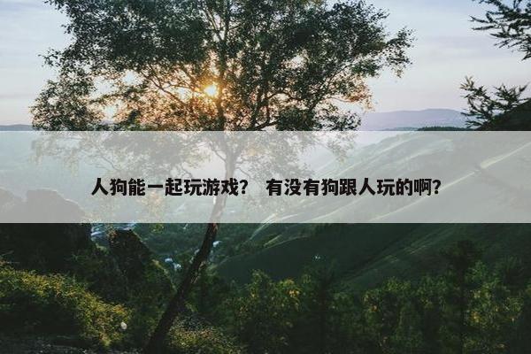 人狗能一起玩游戏？ 有没有狗跟人玩的啊？