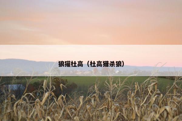 狼獾杜高(杜高猎杀狼)