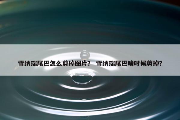 雪纳瑞尾巴怎么剪掉图片？ 雪纳瑞尾巴啥时候剪掉？