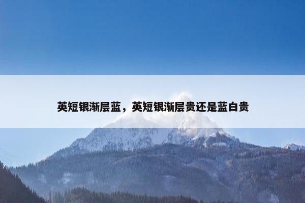 英短银渐层蓝，英短银渐层贵还是蓝白贵