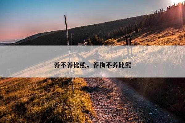 养不养比熊，养狗不养比熊