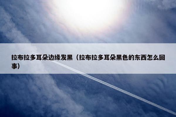 拉布拉多耳朵边缘发黑(拉布拉多耳朵黑色的东西怎么回事)