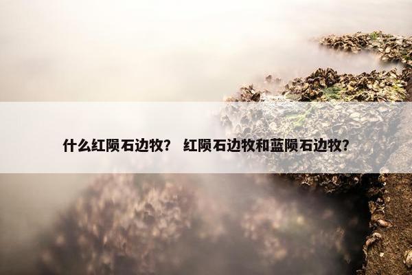 什么红陨石边牧？ 红陨石边牧和蓝陨石边牧？