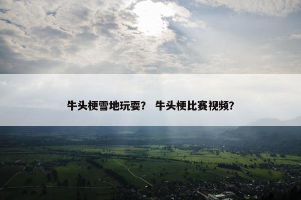 牛头梗雪地玩耍？ 牛头梗比赛视频？
