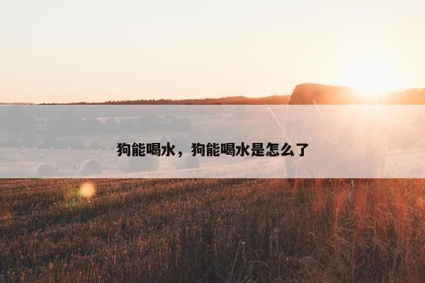 狗能喝水,狗能喝水是怎么了