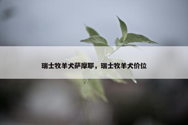 瑞士牧羊犬萨摩耶，瑞士牧羊犬价位