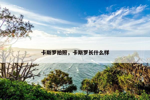 卡斯罗拍照，卡斯罗长什么样