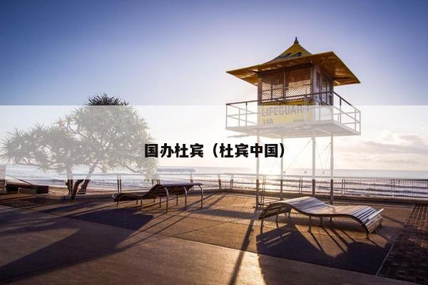 国办杜宾（杜宾中国）