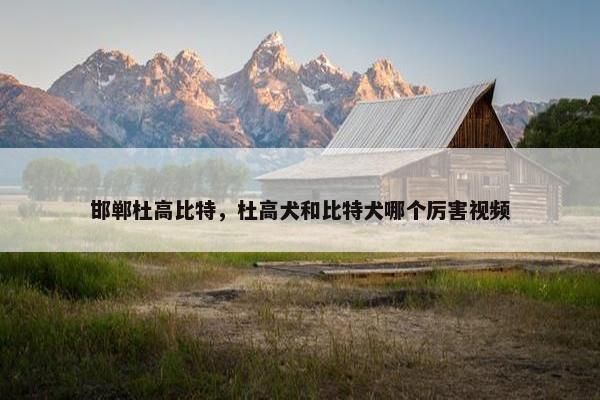 邯郸杜高比特，杜高犬和比特犬哪个厉害视频
