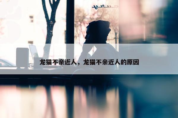龙猫不亲近人，龙猫不亲近人的原因